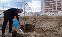 کاشت 100 اصله نهال به مناسبت روز درختکاری در دانشگاه